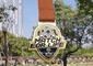 Custom Sport Running Medallion , Zinc Alloy Die Casting Silver Soft Enamel Badge Medal